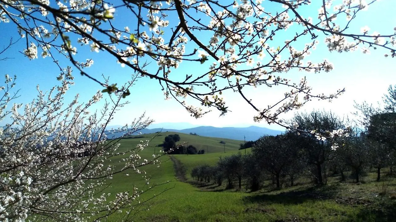 La Pecora Verde San Gimignano 0*,